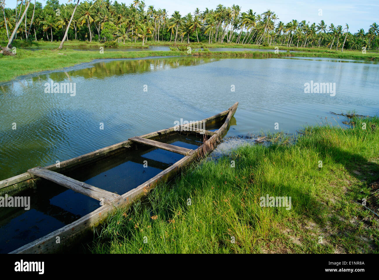 Kerala Backwaters Colorful Green Scenery Kerala India Stock Photo