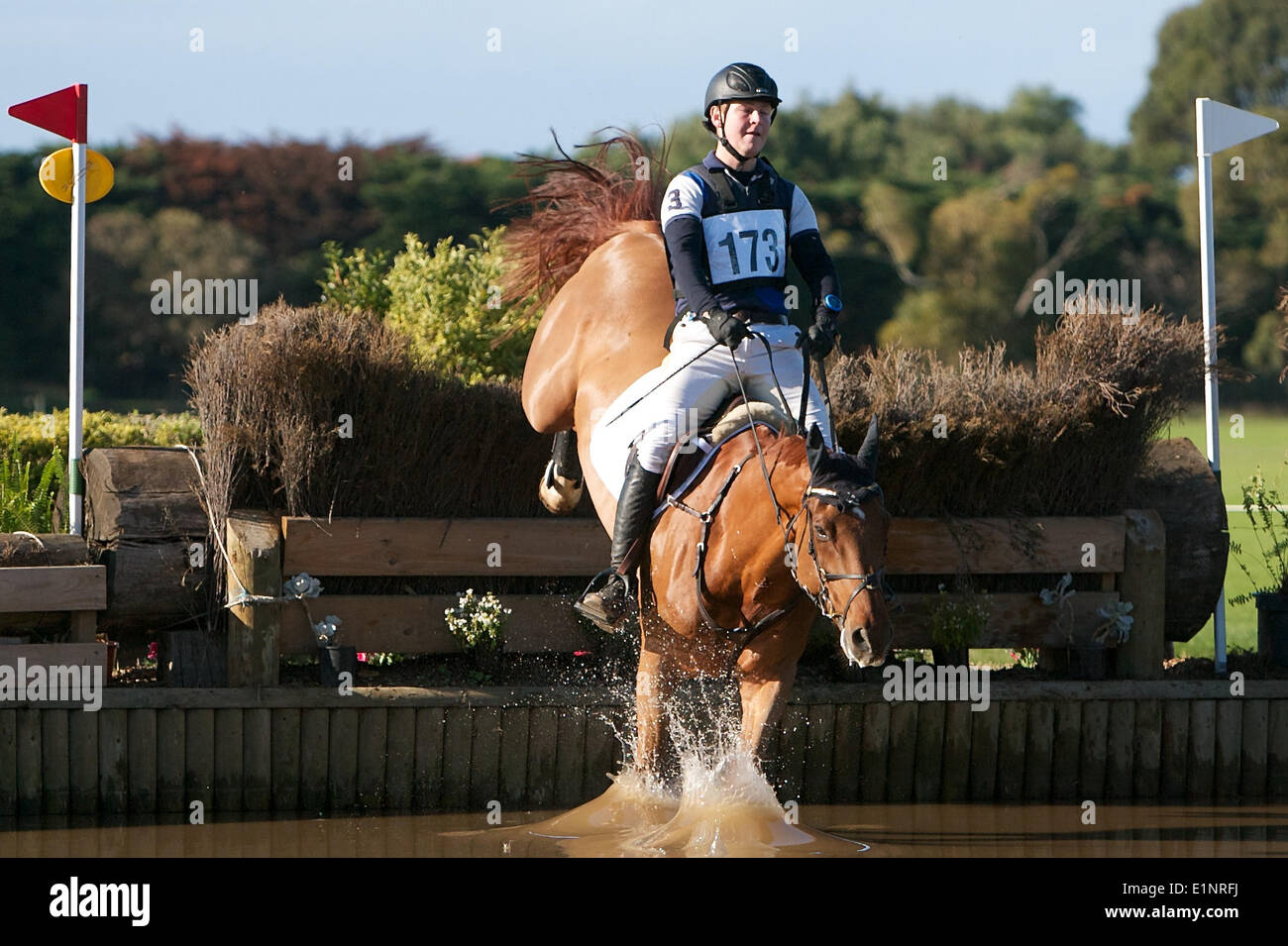 Melbourne, Victoria, Australia. 8th June, 2014. June. 8. 2014 - Melbourne, Victoria, Australia - ANDREW COOPER of Victoria riding EGO REGENCY during day three of the Cross Country at the 2014 Melbourne International Horse Trial. Credit:  Tom Griffiths/ZUMA Wire/ZUMAPRESS.com/Alamy Live News Stock Photo
