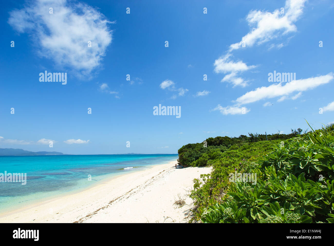 Stunning tropical beach surrounded by crystal clear tropical water full of coral reef in Okinawa, tropical Japan Stock Photo