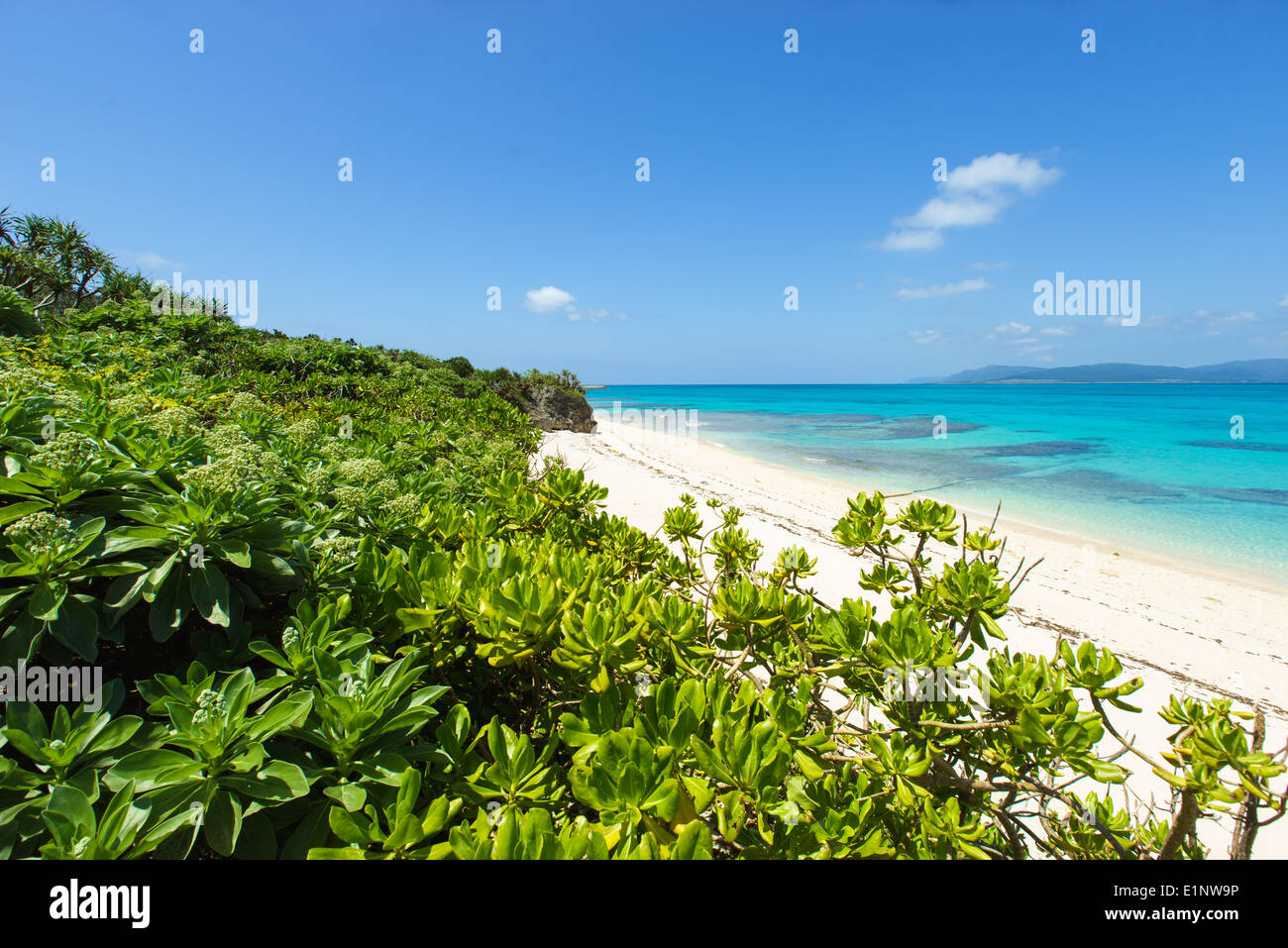 Stunning tropical beach surrounded by crystal clear tropical water full of coral reef in Okinawa, tropical Japan Stock Photo