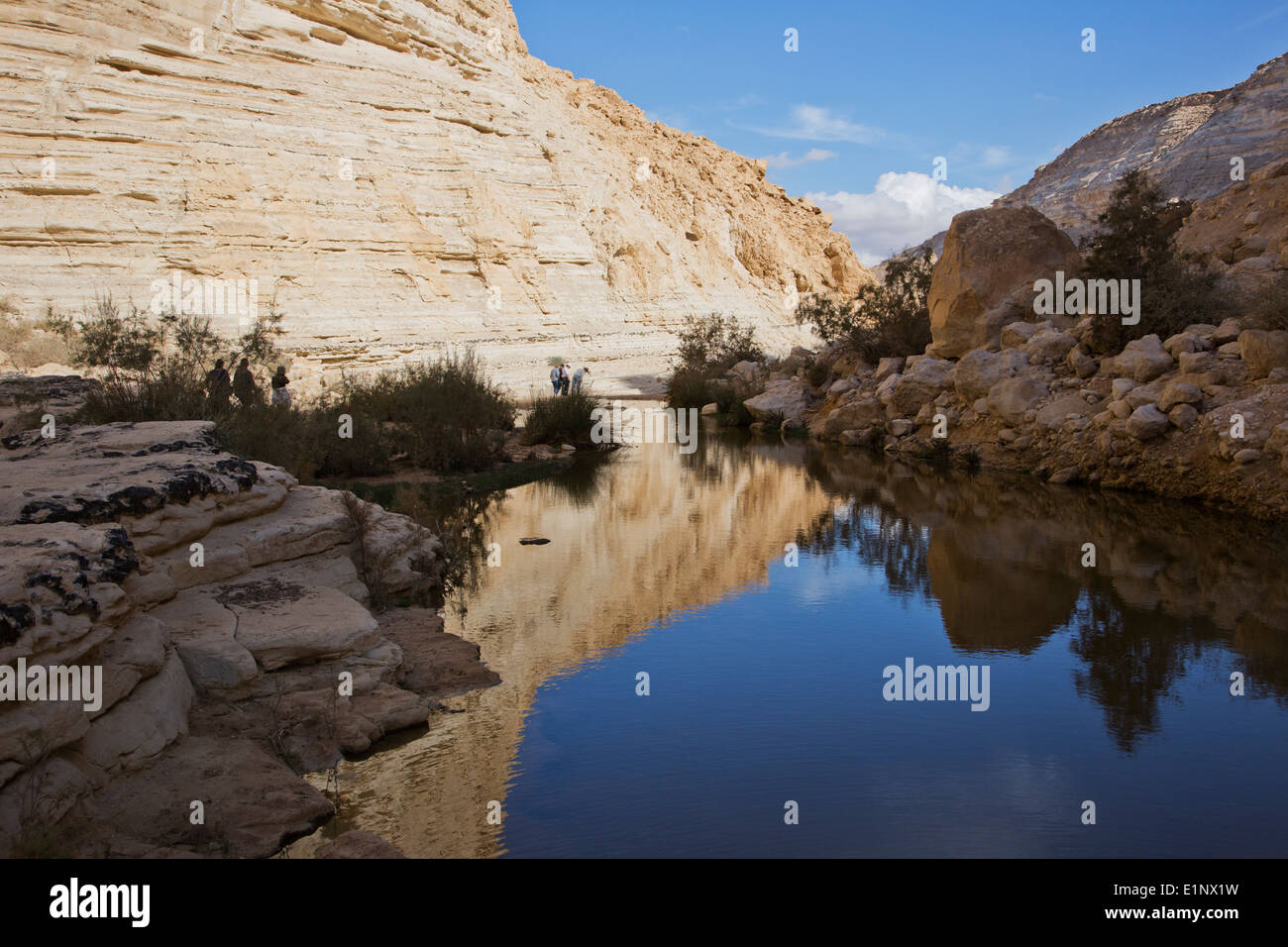 Ein Avdat, sweet water spring in the negev desert, israel Stock Photo