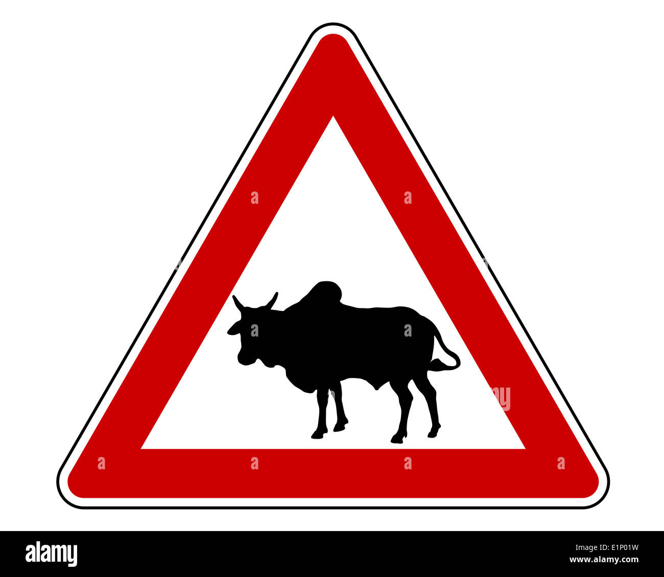 Zebu warning sign Stock Photo - Alamy