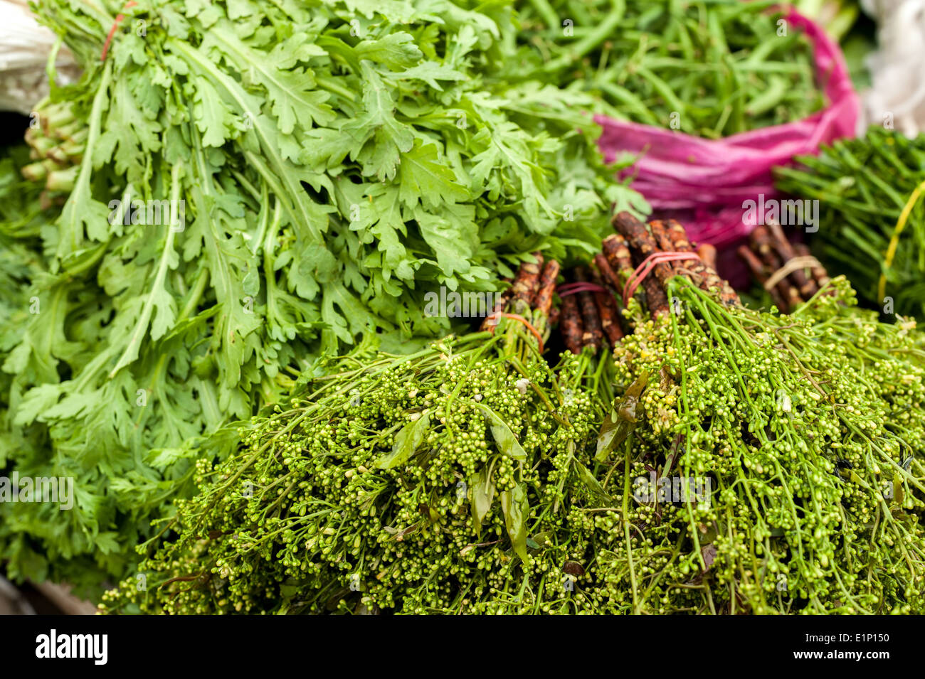 Fresh organic herbs and spices at asian market Stock Photo