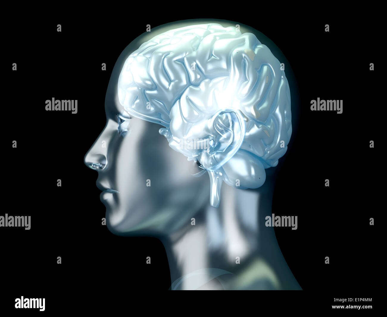 The Human Brain Stock Photo - Alamy
