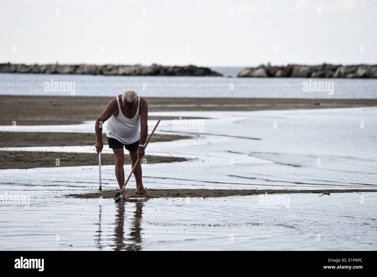 Old man on a beach in Rimini looking for shell fish Stock Photo - Alamy