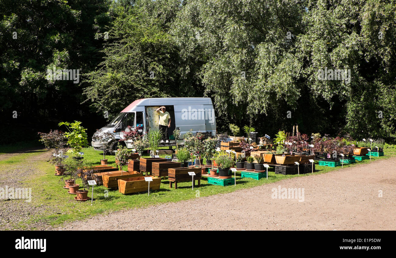 Plants and planters for sale in park Stock Photo