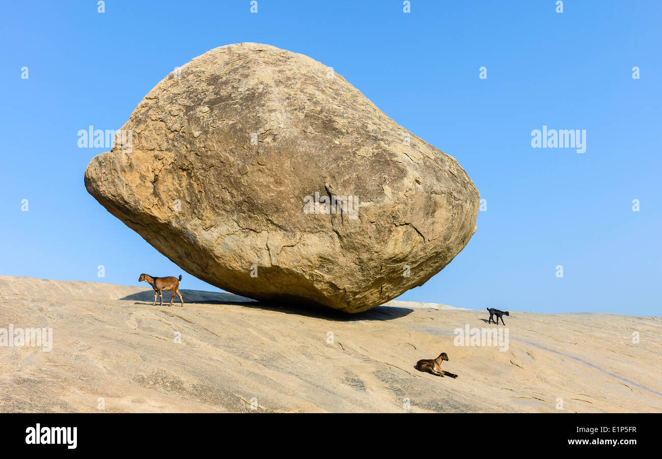 A large boulder, Krishna's butter ball, named after Hindu God, Krishna, balanced precariously on granite base at Mamallapuram, Stock Photo
