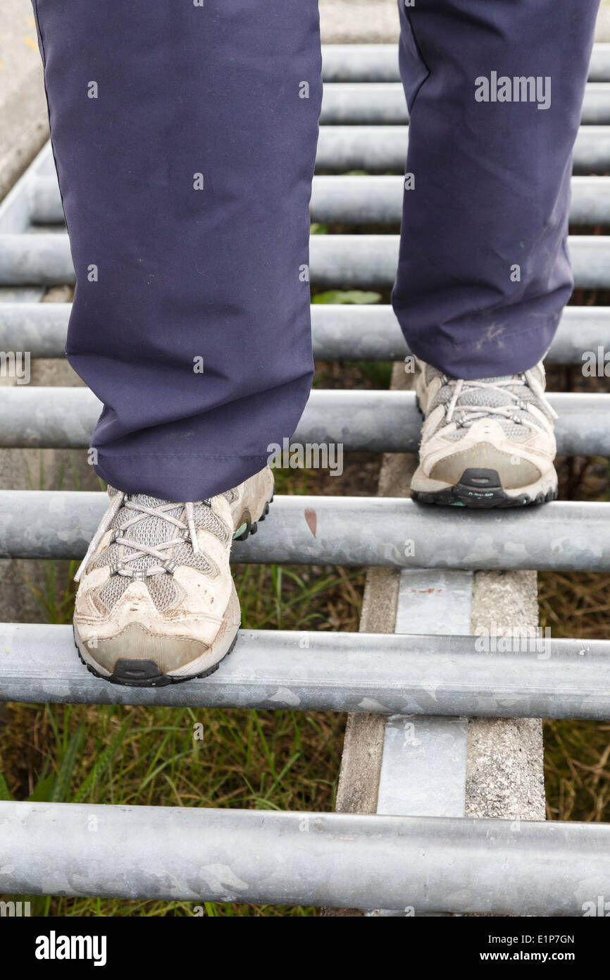 Walker wearing walking shoes stepping cautiously over bars on a cattle grid on a country track. England, UK, Britain. Stock Photo
