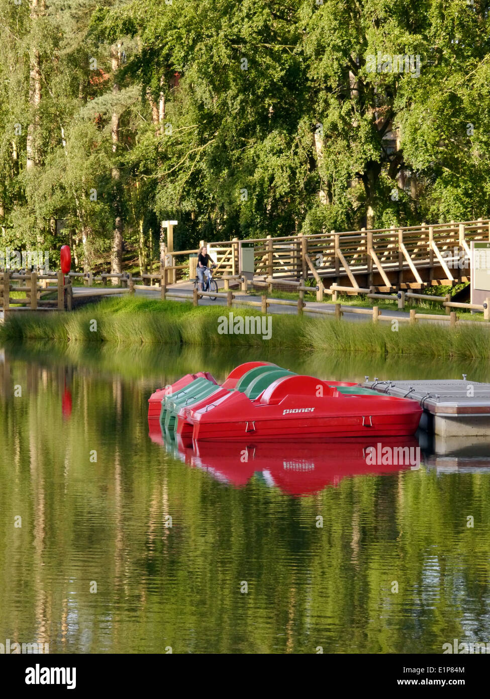 Center Parcs, Woburn Forest opening weekend Stock Photo Alamy