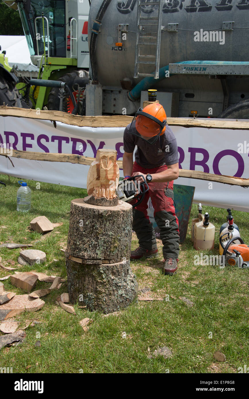 Chainsaw carving hi-res stock photography and images - Alamy