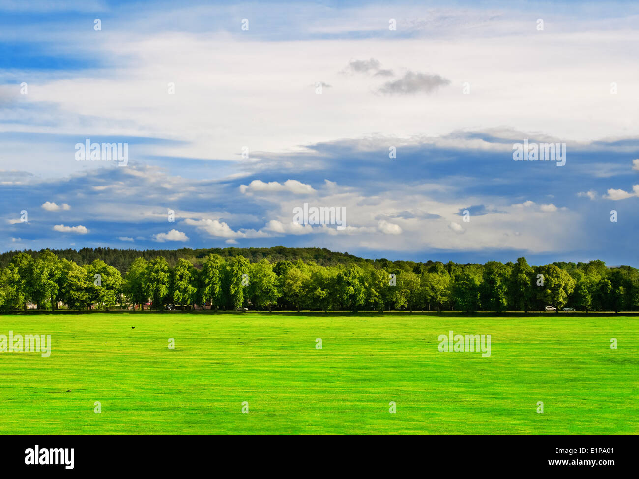 Tree trees grass field people hi-res stock photography and images - Alamy