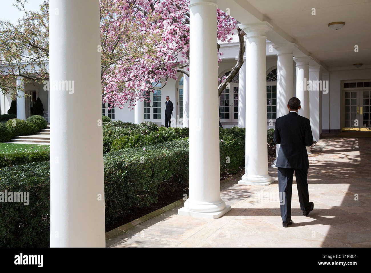 US President Barack Obama walks along the Colonnade of the White House past flowering trees as Chief of Staff Denis McDonough waits for him April 8, 2014 in Washington, DC. Stock Photo