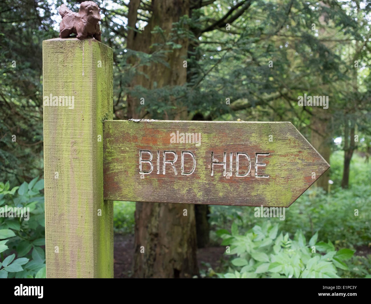Wooden sign post to a Bird Hide at the North Yorkshire Moors National ...