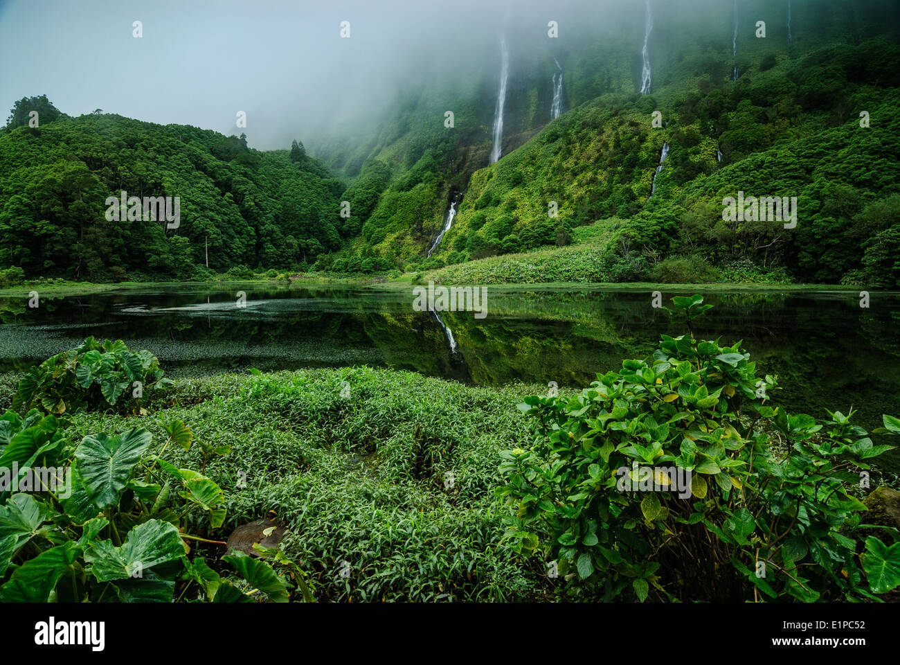 Waterfalls in Azores Stock Photo