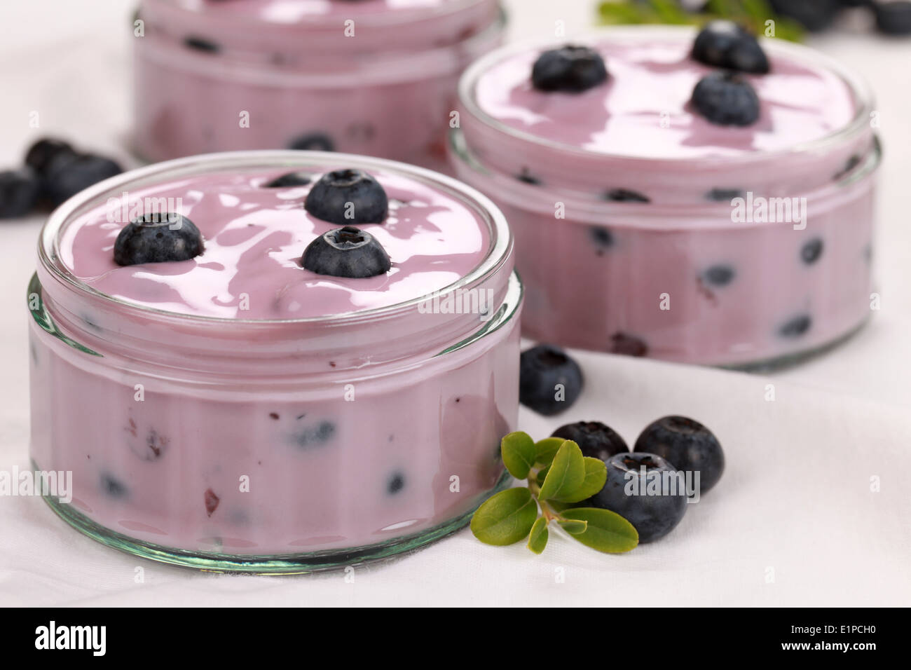 Blueberry yogurt in glass bowls served with fresh blueberries and decorated with leaves Stock Photo
