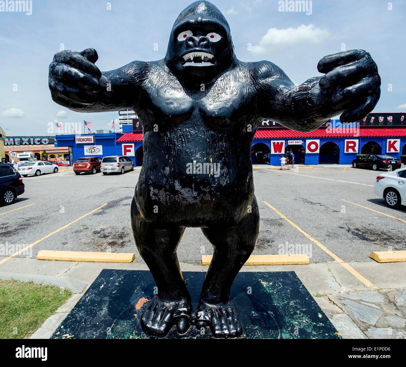 Hamer, South Carolina, USA. 08th June, 2014. View of South of the