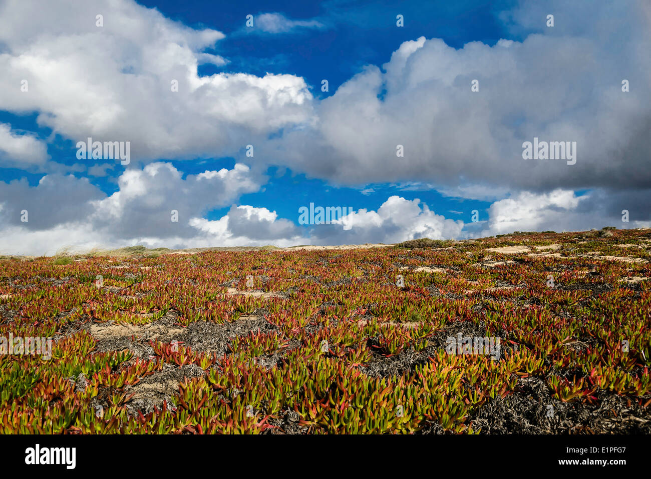 Screen saver Stock Photo