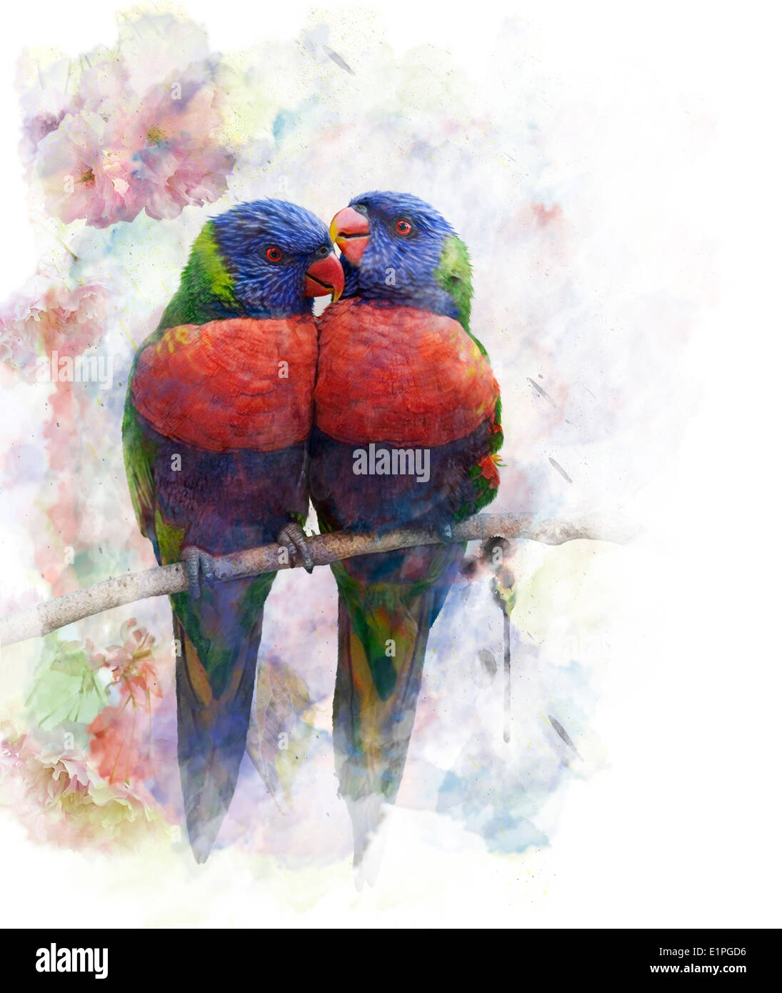 Watercolor Digital Painting Of Rainbow Lorikeet Parrots Stock Photo