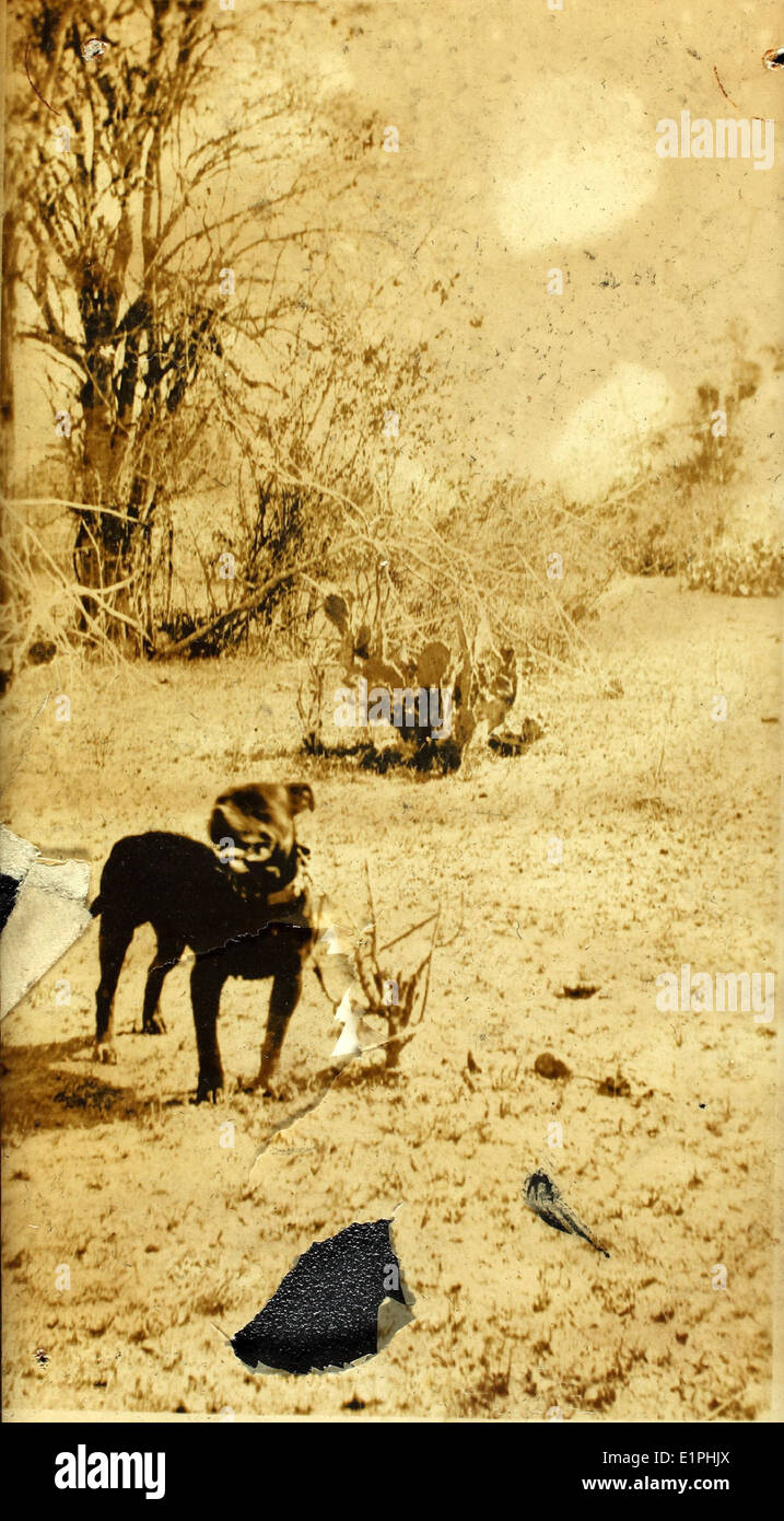 World War One Stock Photo Alamy world-war-one-stock-photo-alamy
