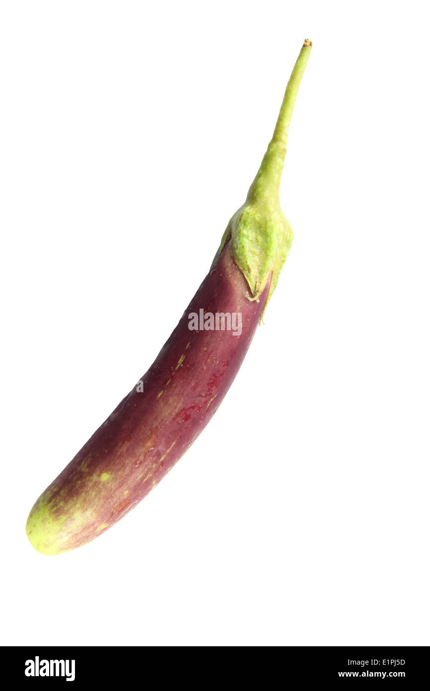 purple eggplant isolated on white background. Stock Photo