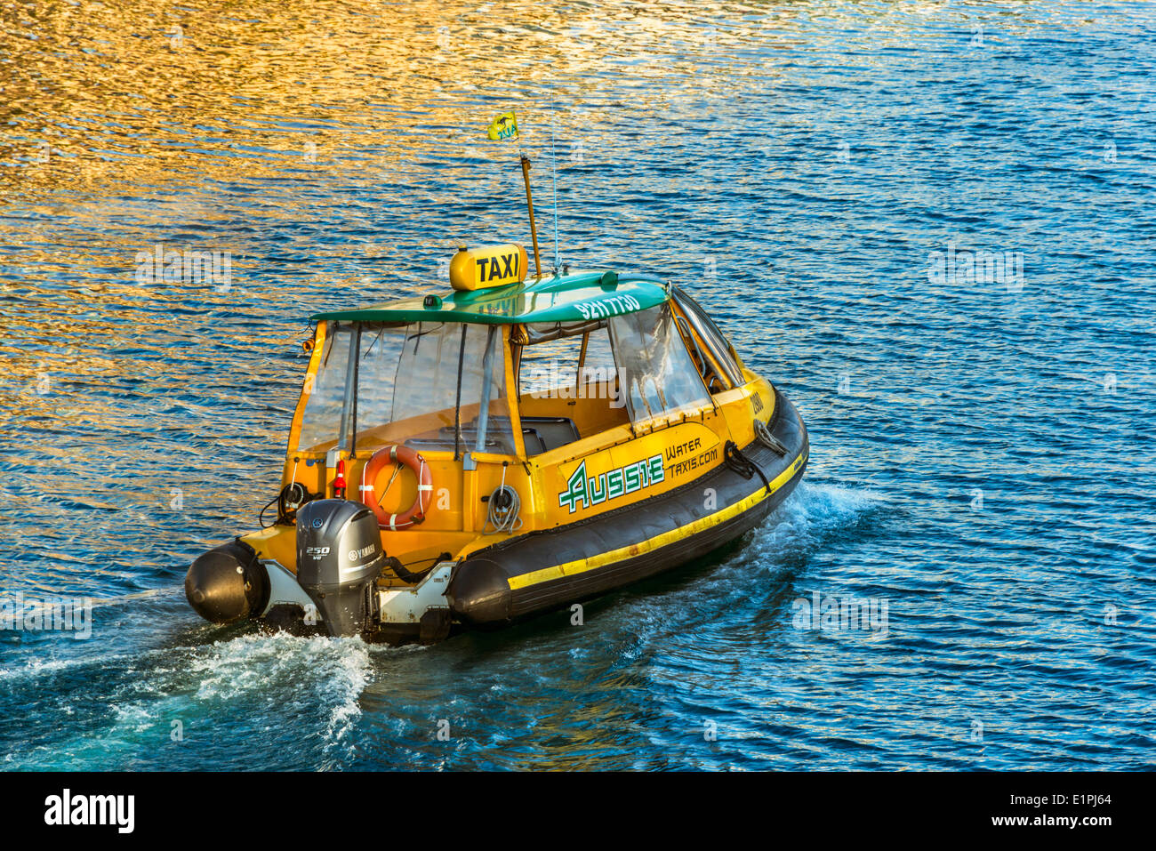 Sydney harbour water taxi, in traditional Australian colours, green and gold, bathed in golden afternoon light Stock Photo