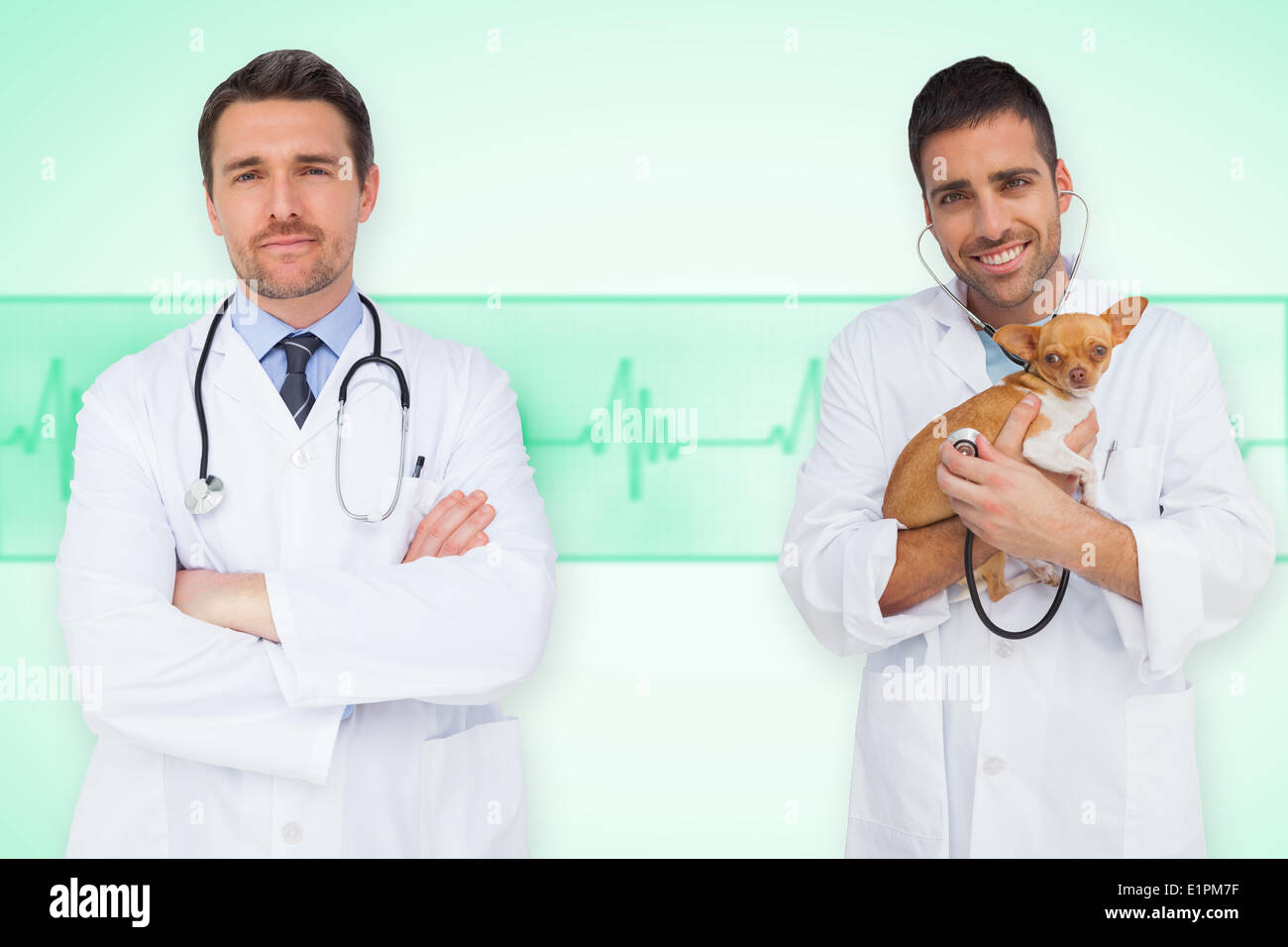 Composite image of happy doctor and vet Stock Photo