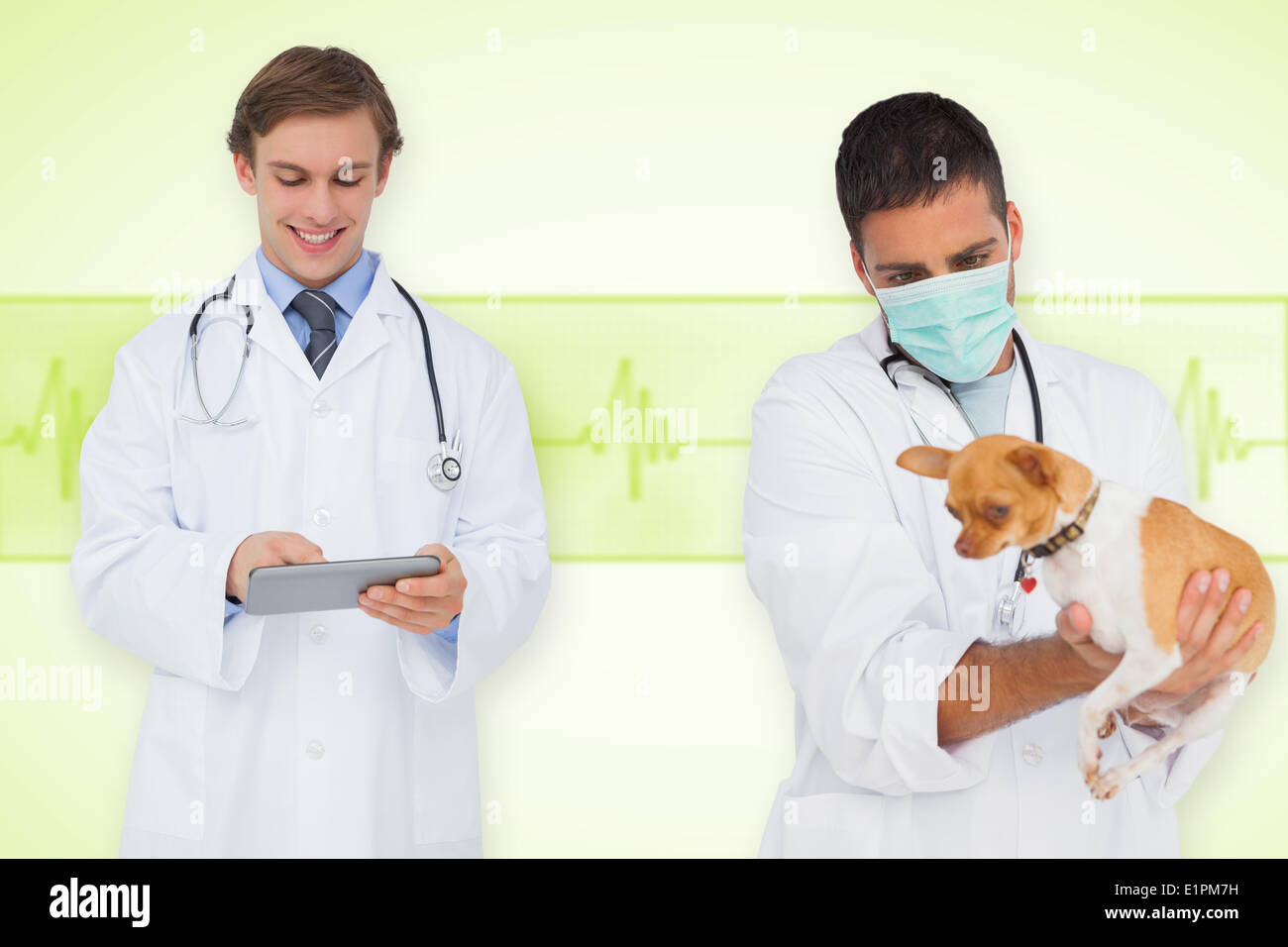 Composite image of vet and smiling doctor Stock Photo