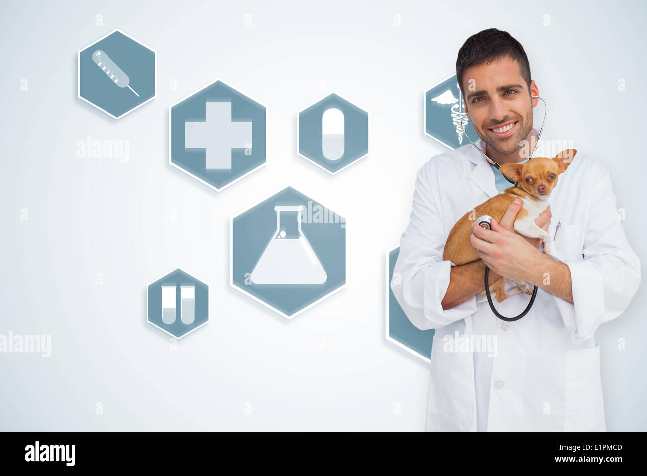 Composite image of happy vet checking dog with stethoscope Stock Photo