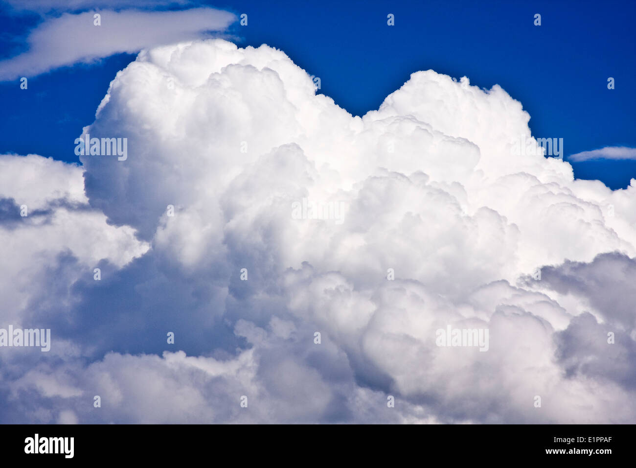 Fluffy Cumulus cloud formation grouping to up forming a thunderstorm ...