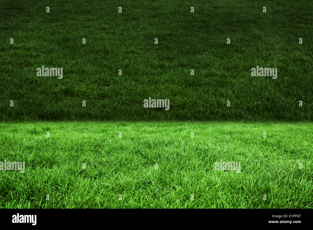 0 Result Images of Why Is My Grass Two Shades Of Green PNG Image