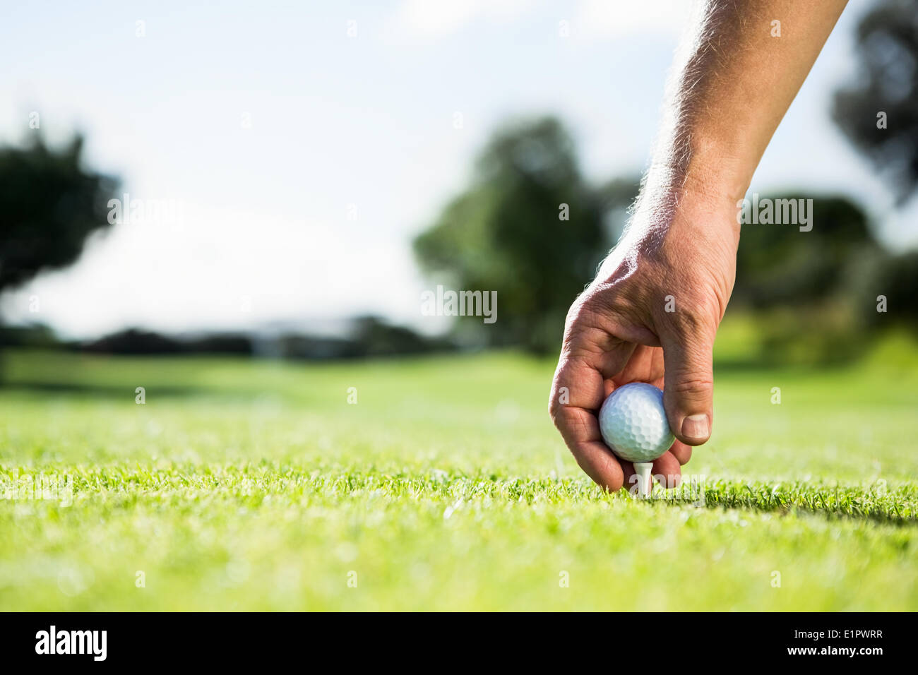 Golfer placing golf ball on tee Stock Photo