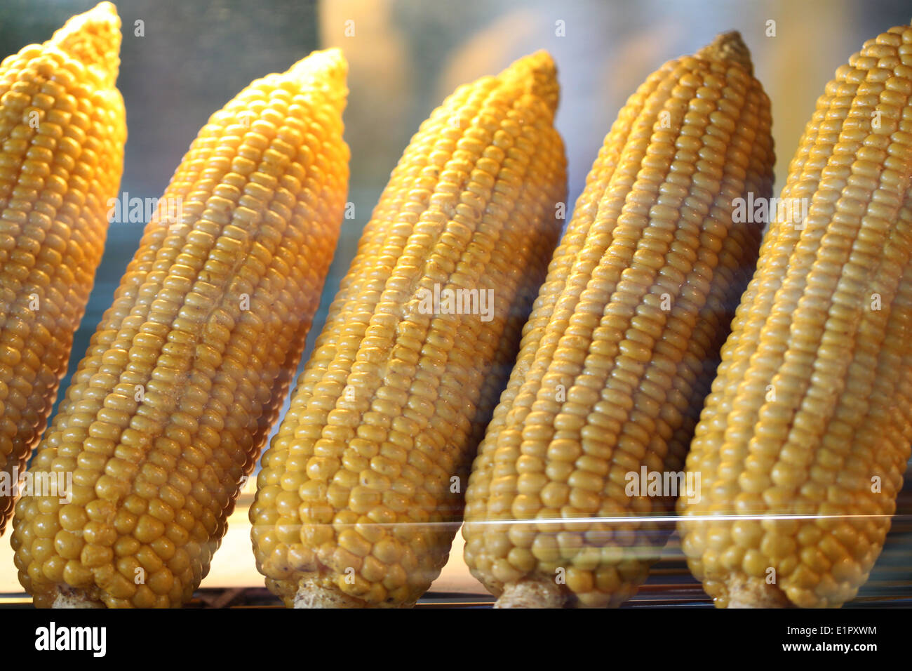 Yellow corn drying in the local food of Thailand. Stock Photo