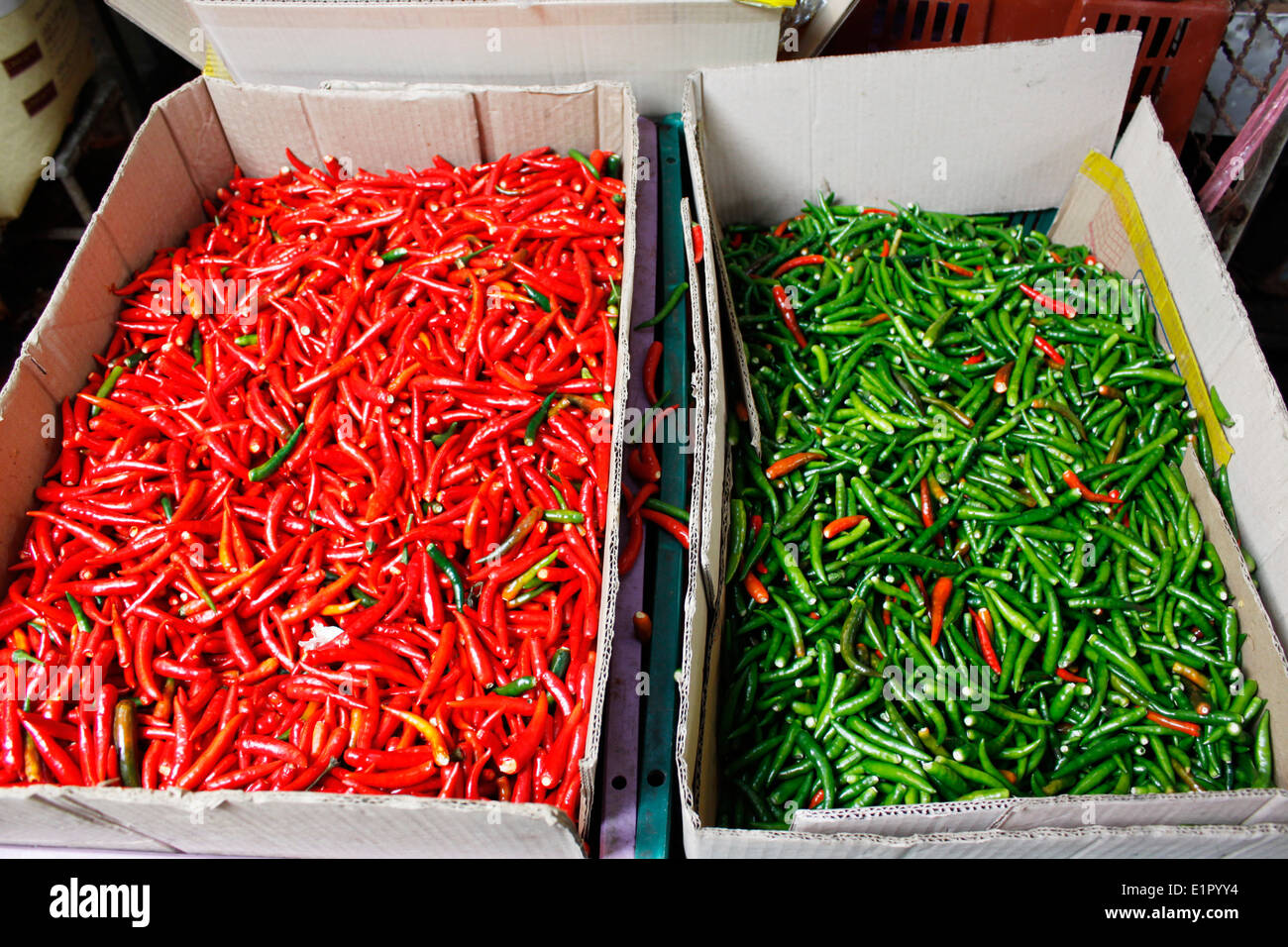 Peppers in a food and fish market, city of Bangkok, Thailand, Asia