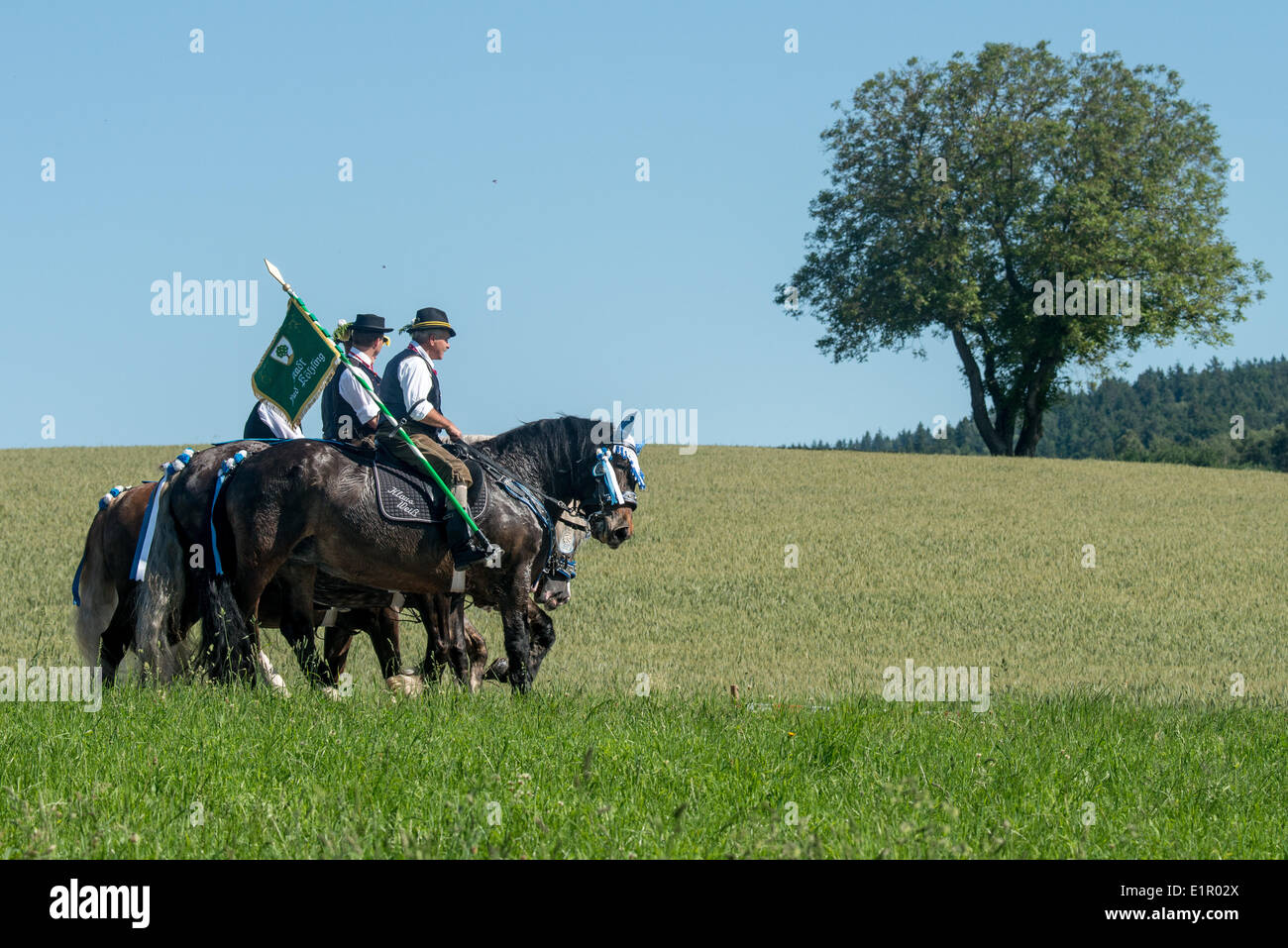Bad Koetzting, Germany. 09th June, 2014. A group of riders and their horses participate in the Koetzting Pentecost Ride (Pfingstritt) near Bad Koetzting, Germany, 09 June 2014. The procession counts approximately 900 riders and is said to be one of the oldest Bavarian customs. The so-called 'Mannerleut' ride from Koetzting to the near-by Church of Saint Nicholas. Women are not allowed to participate in the ride. Photo: ARMIN WEIGEL/dpa/Alamy Live News Stock Photo