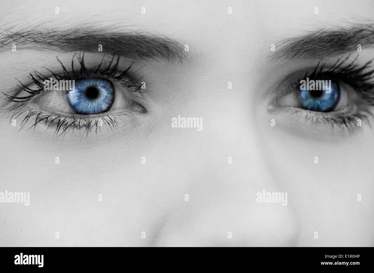 Blue eyes on grey face Stock Photo - Alamy