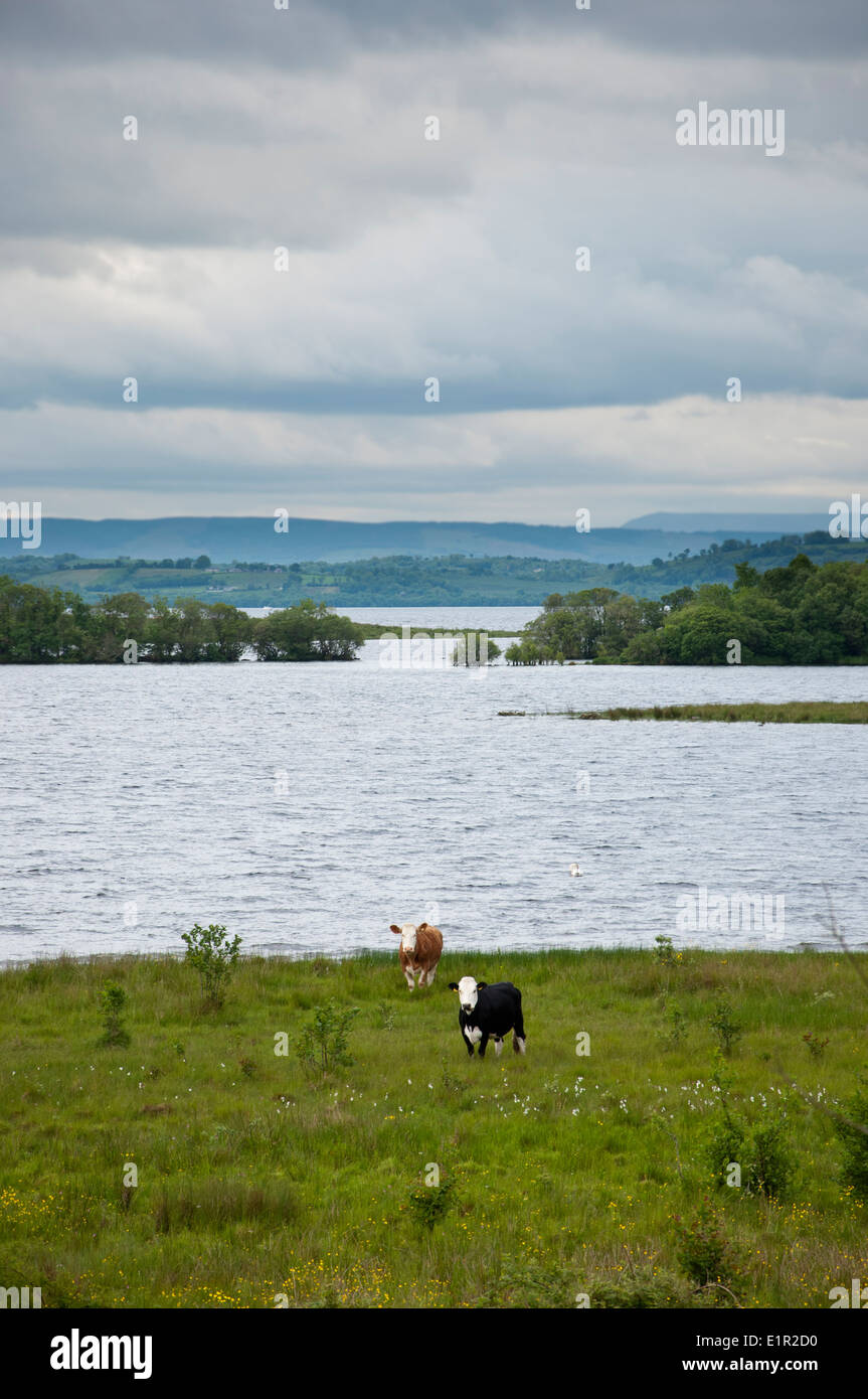 Boa Island Lower Lough Erne County Fermanagh Northern Ireland Stock Photo