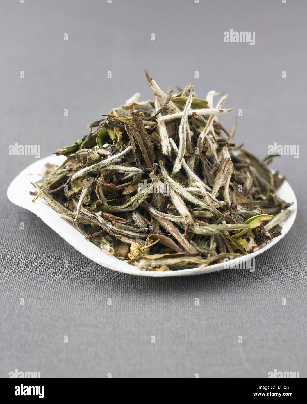 White tea leaves Stock Photo Alamy