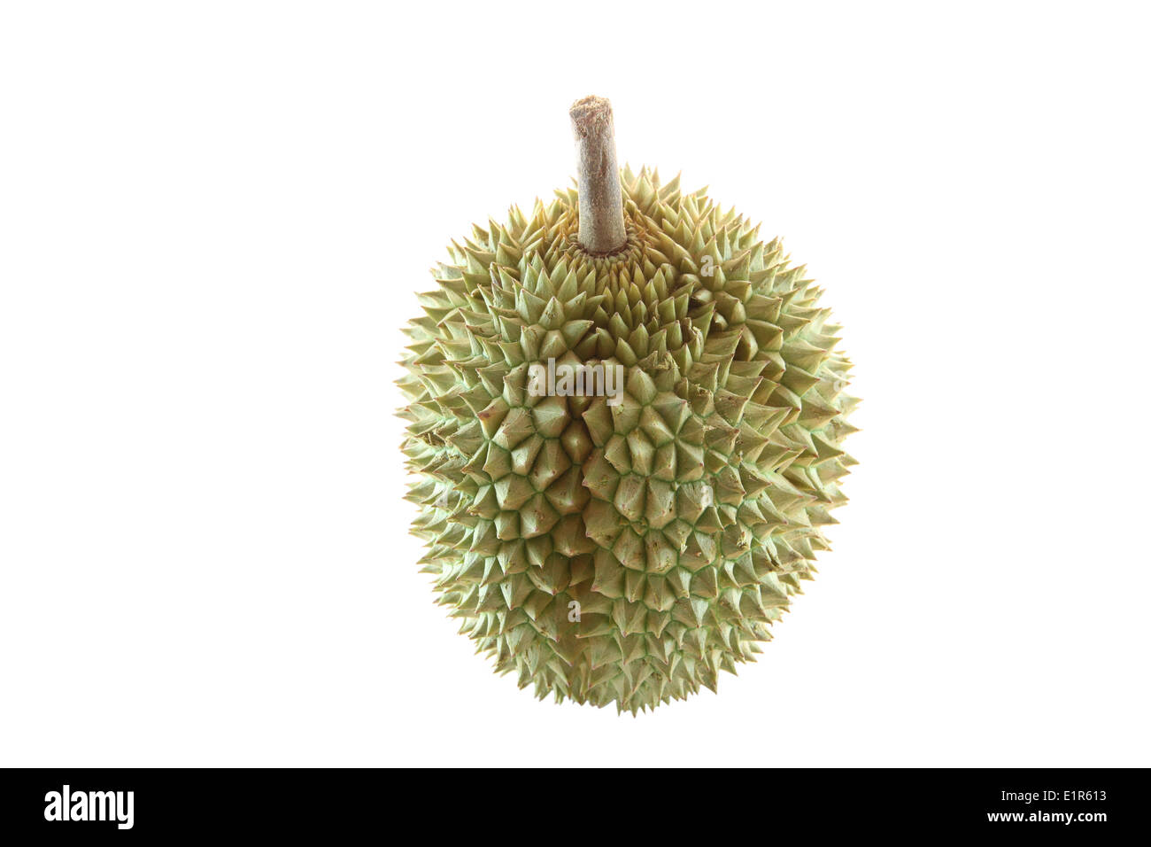 durian of tropical fruit in Thailand on the white background Stock ...