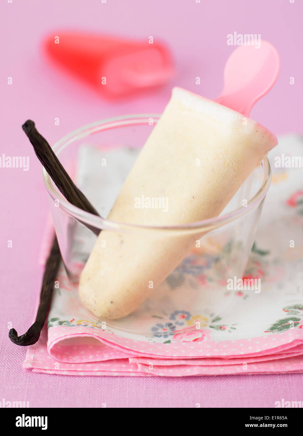 Homemade vanilla ice cream bar Stock Photo