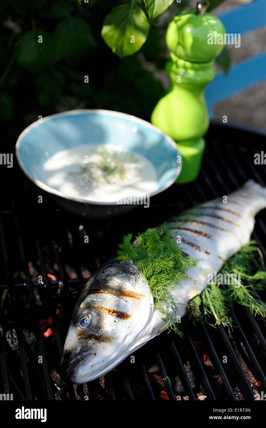 Sea bass fennel sauce hires stock photography and images Alamy