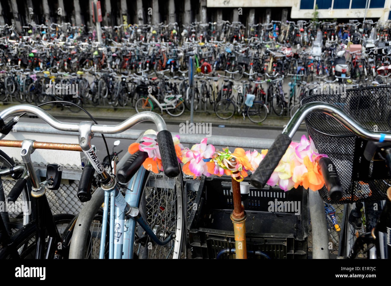 Flowers on bicycles on bike stands outside Amsterdam Central railway station Holland Stock Photo