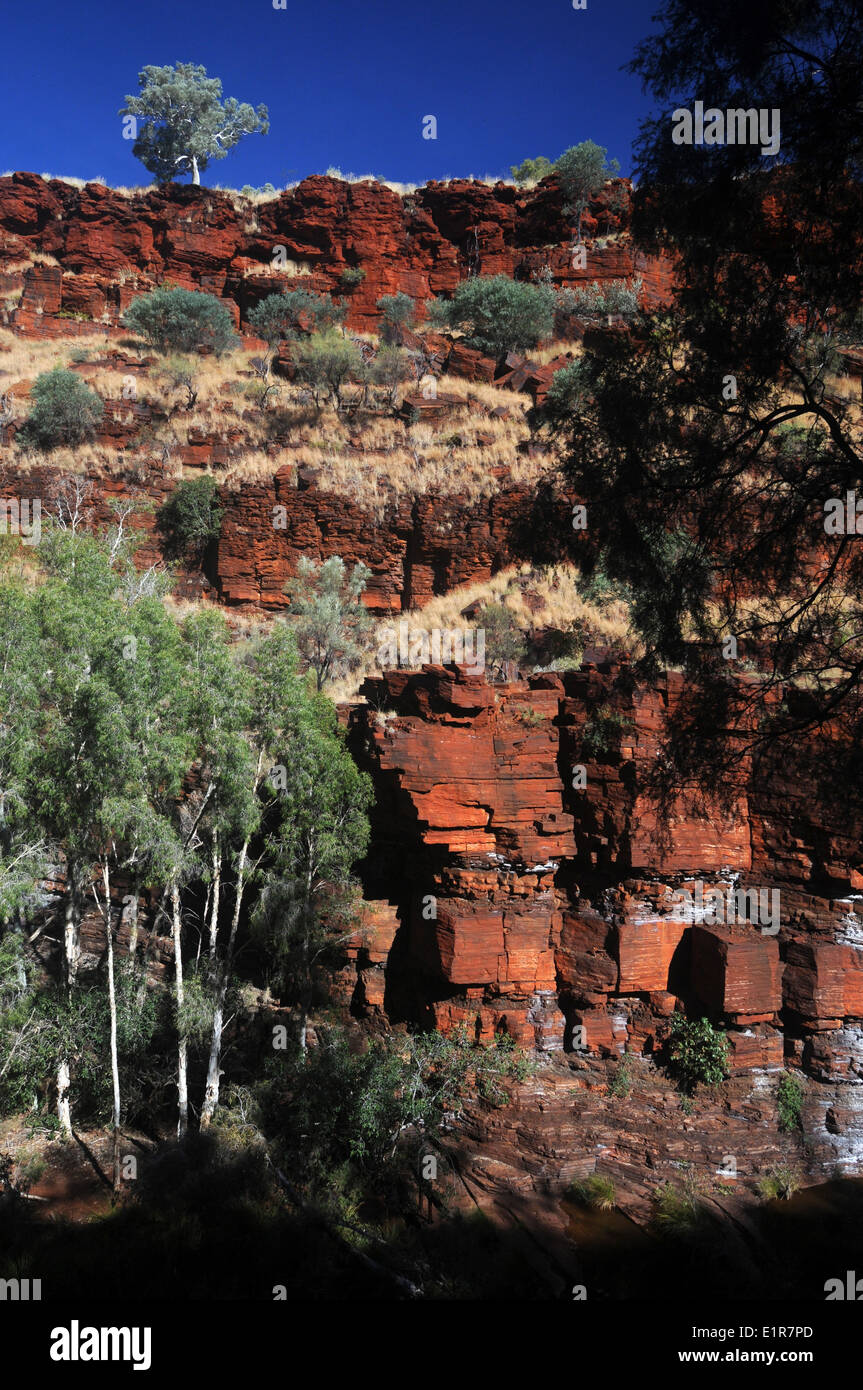 Dales Gorge, Karijini National Park, Hamersley Ranges, Western Australia Stock Photo