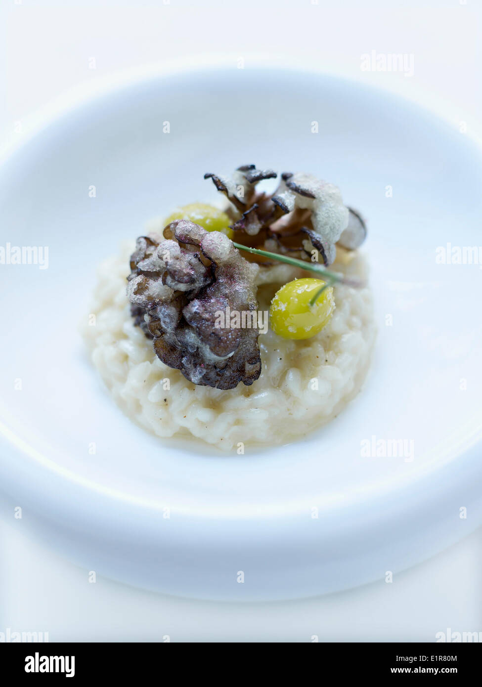 Risotto and light deep-fried mushrooms Stock Photo