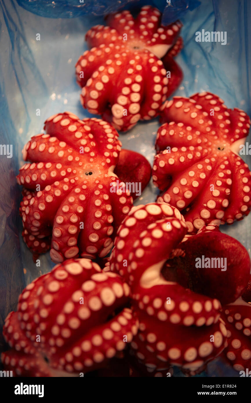 Tokyo Octopus Tokyo octopus hi-res stock photography and images - Alamy