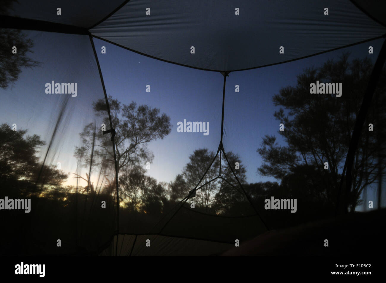 Dawn light through insect screen tent, Dales Campground, Karijini