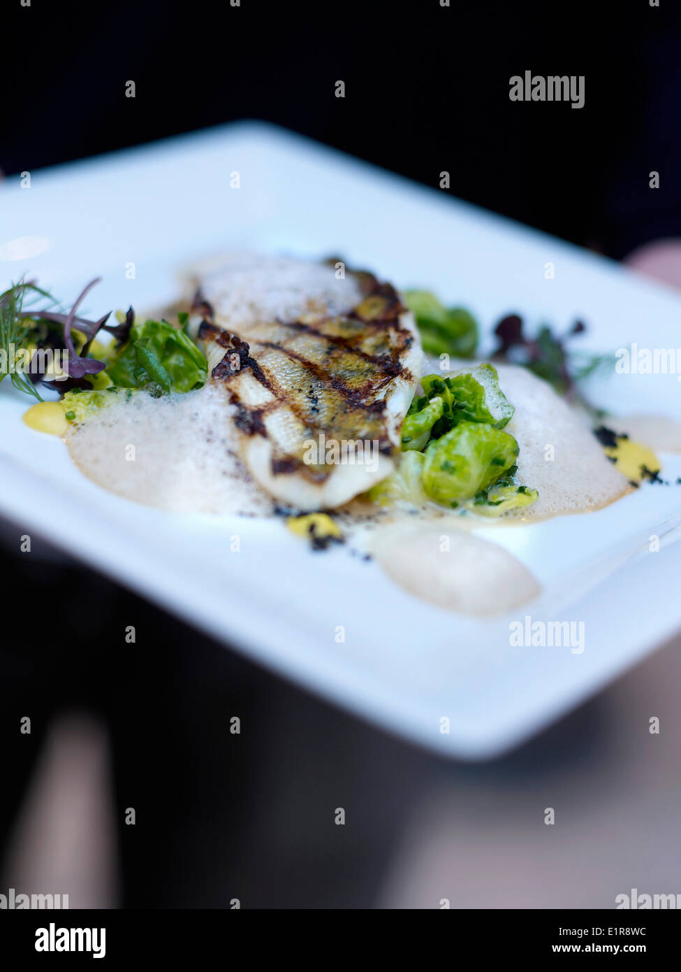 Grilled sea bream with herb emulsion Stock Photo
