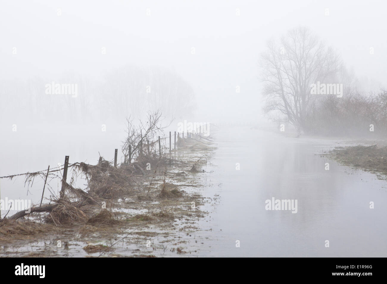 The flood plains of the Waal are filled with water during high waterlevels in winter. Stock Photo