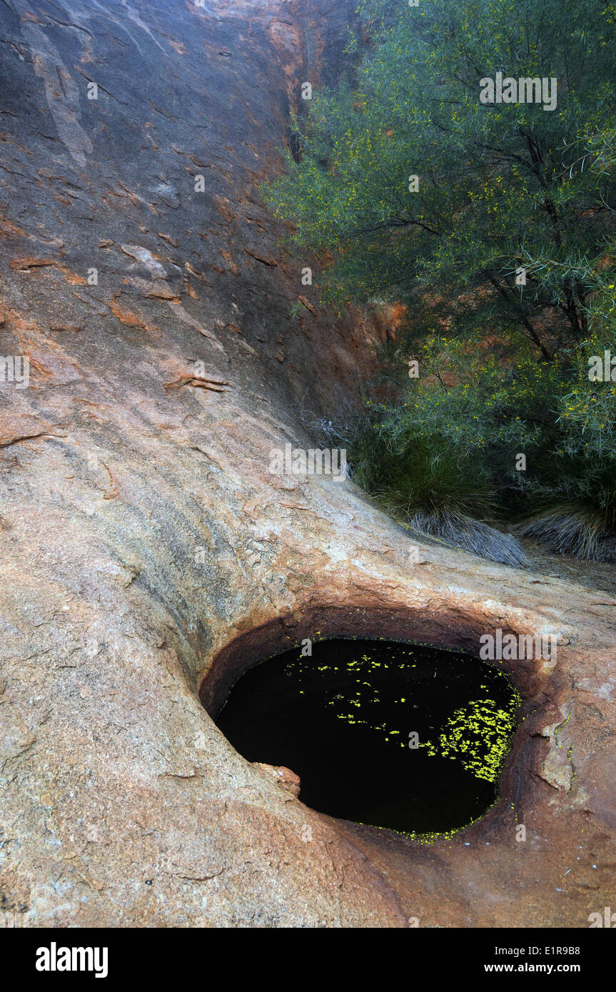 Rainwater ponding in hole in Walga Rock, Murchison region, Western Australia Stock Photo