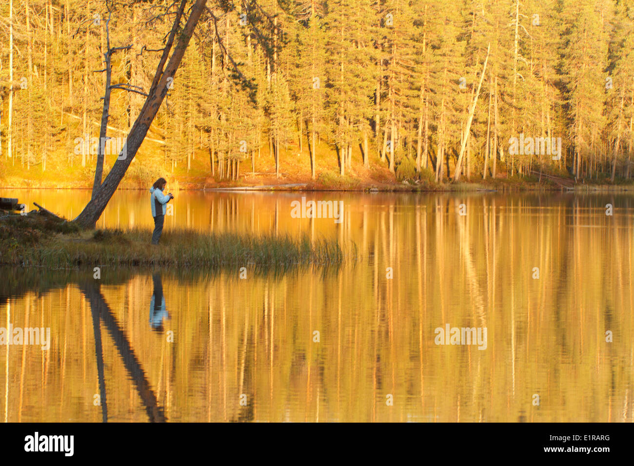At mirroring hi-res stock photography and images - Alamy