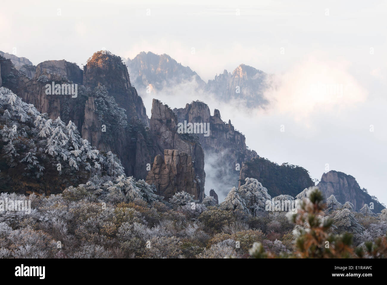 Morning light on the peaks of the Yellow mountains surrounded by clouds. Stock Photo